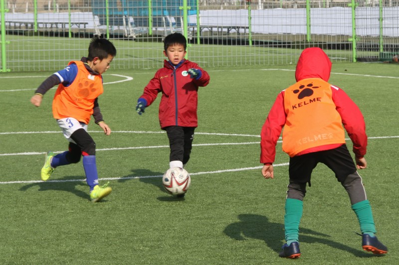 中国足协（青岛）青训中心市级精英训练营顺利举行
